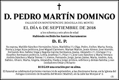 Pedro Martín Domingo